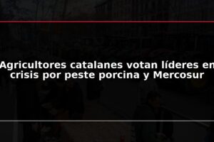 Agricultores catalanes votan líderes en crisis por peste porcina y Mercosur