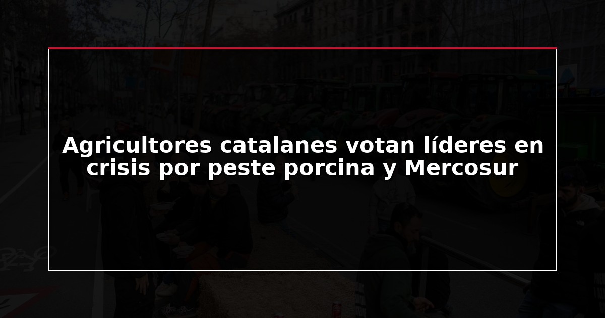 Agricultores catalanes votan líderes en crisis por peste porcina y Mercosur