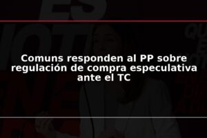 Comuns responden al PP sobre regulación de compra especulativa ante el TC
