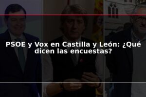 PSOE y Vox en Castilla y León: ¿Qué dicen las encuestas?