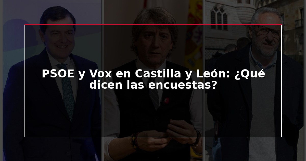 PSOE y Vox en Castilla y León: ¿Qué dicen las encuestas?