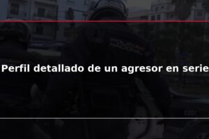 Perfil detallado de un agresor en serie