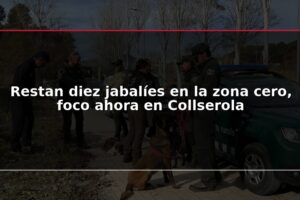 Restan diez jabalíes en la zona cero, foco ahora en Collserola