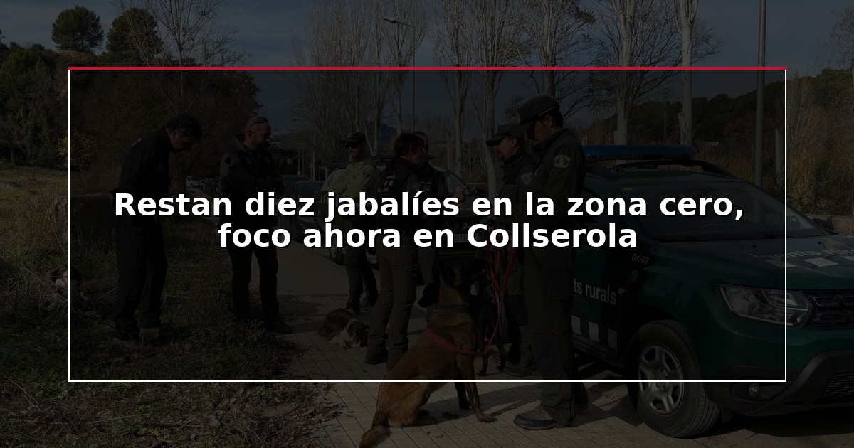 Restan diez jabalíes en la zona cero, foco ahora en Collserola