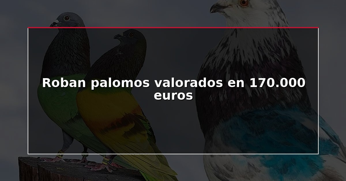 Roban palomos valorados en 170.000 euros