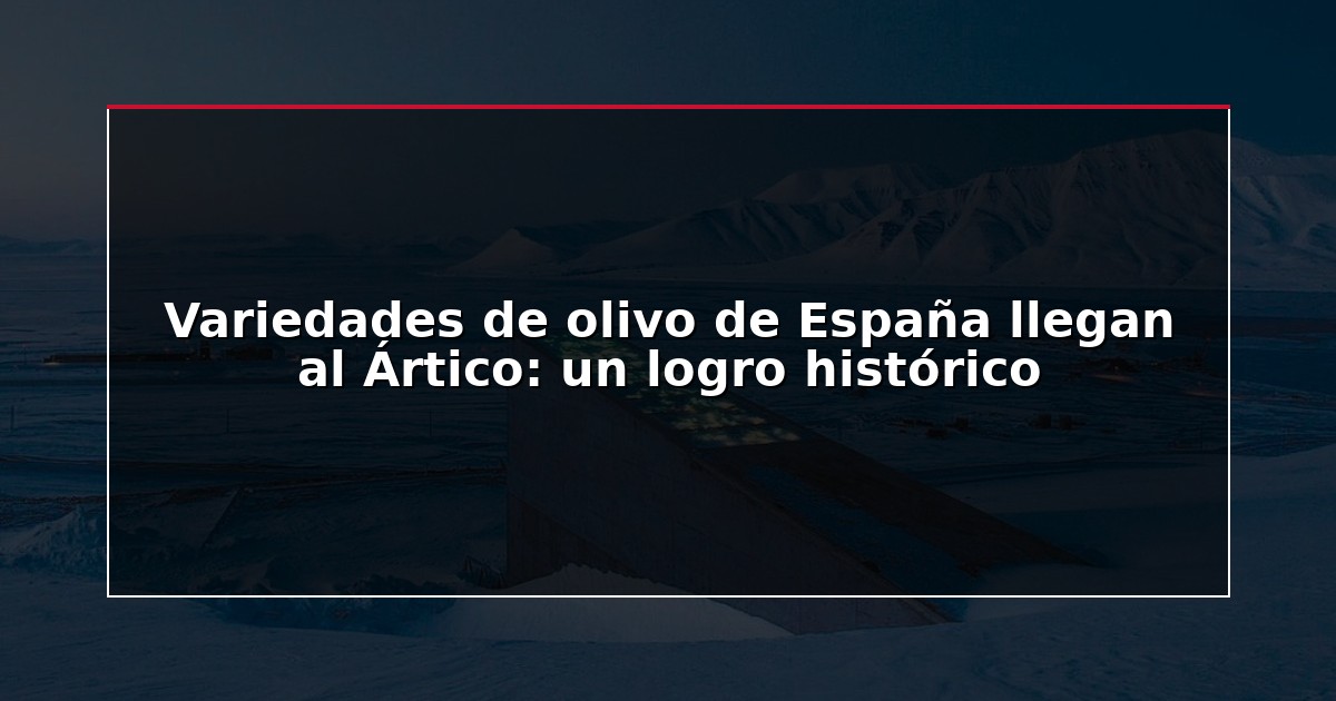 Variedades de olivo de España llegan al Ártico: un logro histórico