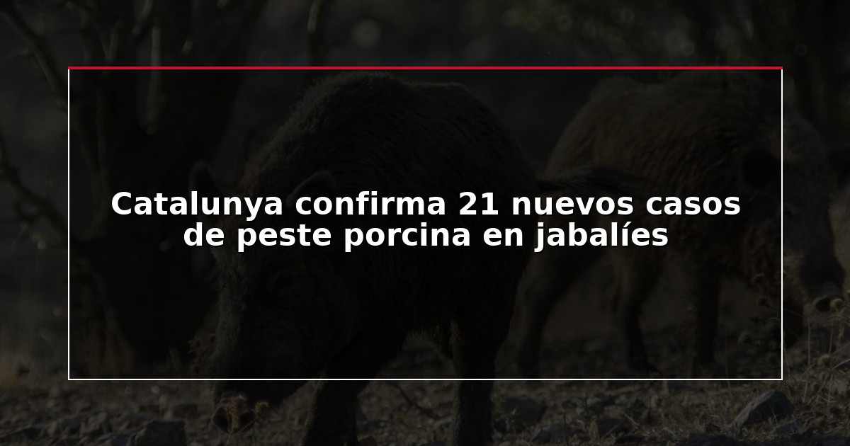 Catalunya confirma 21 nuevos casos de peste porcina en jabalíes