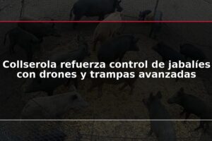 Collserola refuerza control de jabalíes con drones y trampas avanzadas