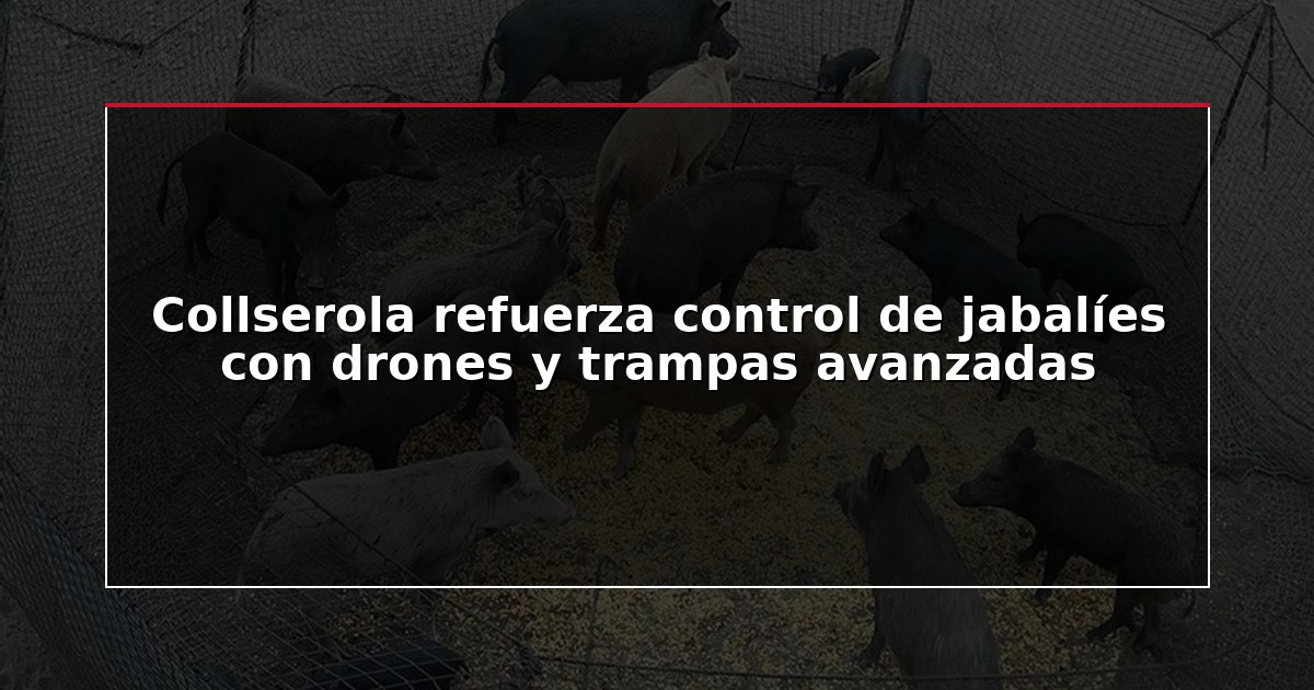 Collserola refuerza control de jabalíes con drones y trampas avanzadas