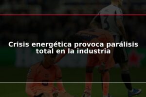 Crisis energética provoca parálisis total en la industria