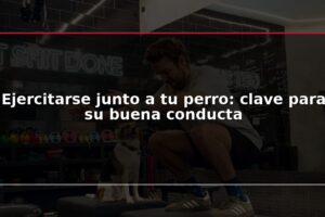 Ejercitarse junto a tu perro: clave para su buena conducta