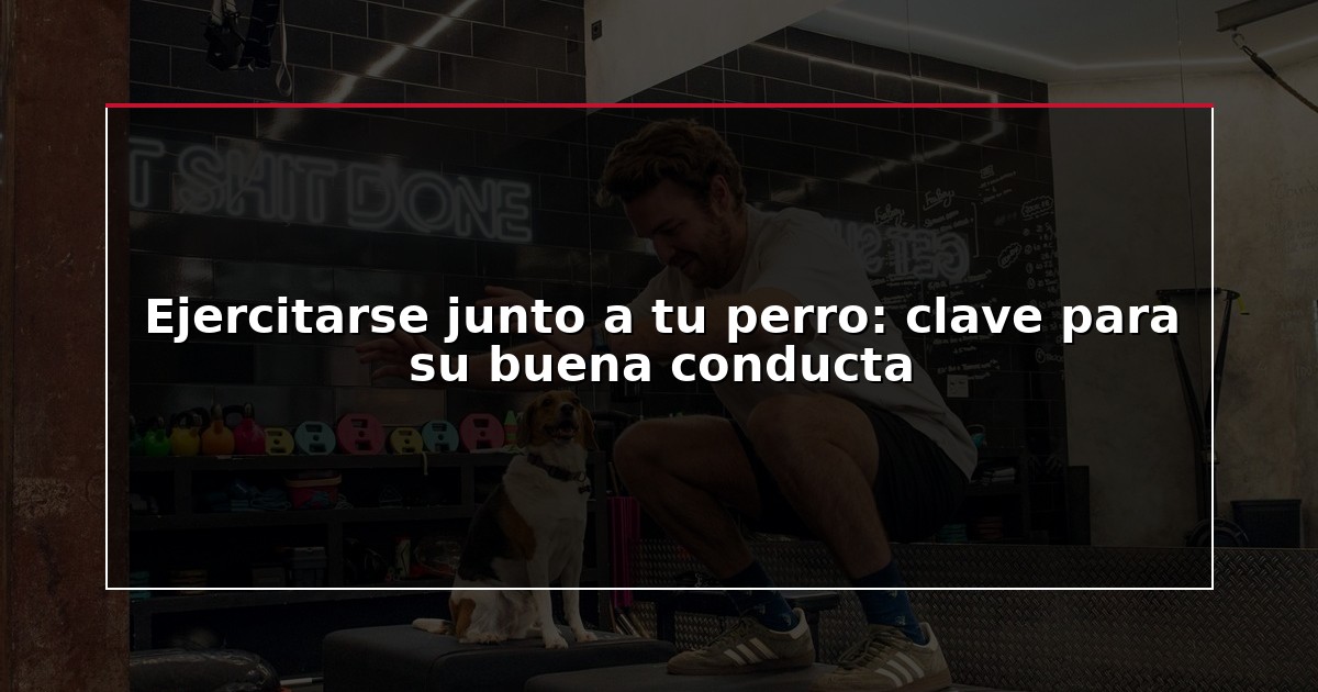 Ejercitarse junto a tu perro: clave para su buena conducta