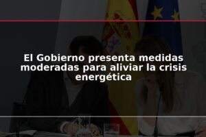 El Gobierno presenta medidas moderadas para aliviar la crisis energética