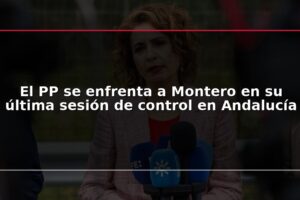 El PP se enfrenta a Montero en su última sesión de control en Andalucía