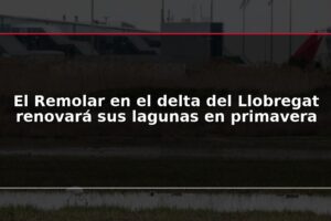 El Remolar en el delta del Llobregat renovará sus lagunas en primavera
