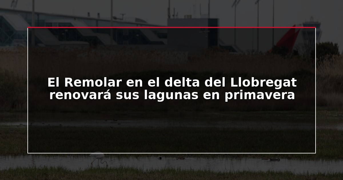 El Remolar en el delta del Llobregat renovará sus lagunas en primavera