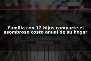 Familia con 12 hijos comparte el asombroso costo anual de su hogar