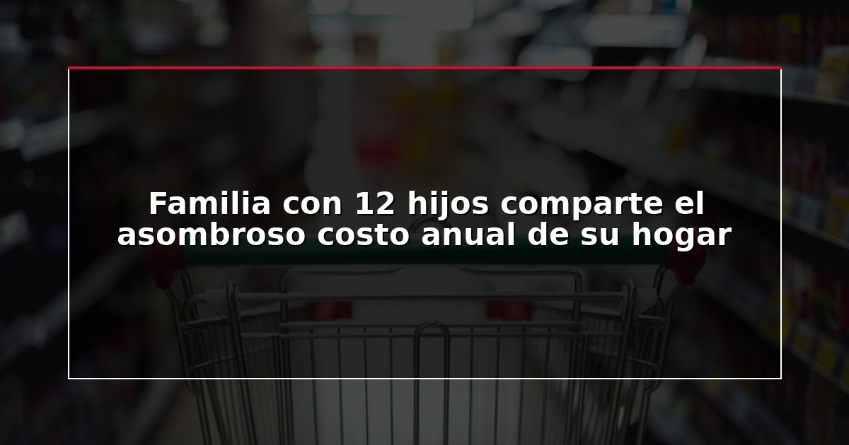 Familia con 12 hijos comparte el asombroso costo anual de su hogar