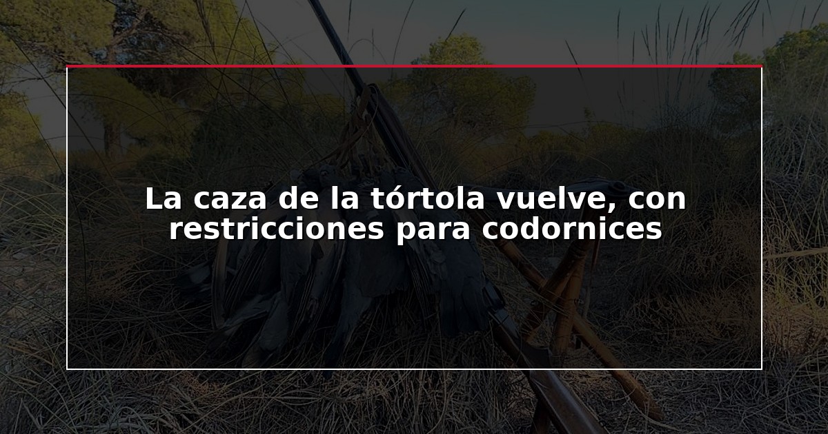 La caza de la tórtola vuelve, con restricciones para codornices