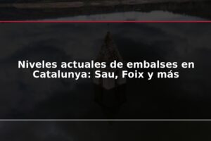 Niveles actuales de embalses en Catalunya: Sau, Foix y más