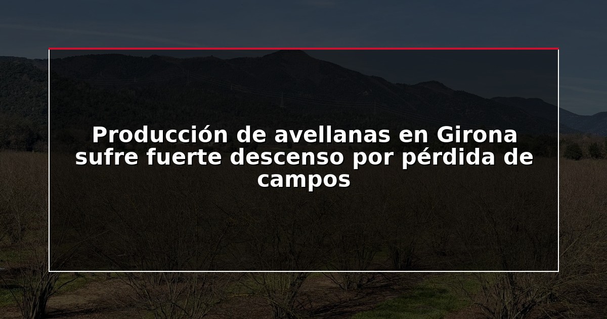 Producción de avellanas en Girona sufre fuerte descenso por pérdida de campos