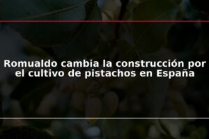 Romualdo cambia la construcción por el cultivo de pistachos en España