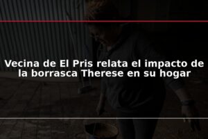 Vecina de El Pris relata el impacto de la borrasca Therese en su hogar