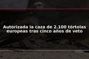 Autorizada la caza de 2.100 tórtolas europeas tras cinco años de veto