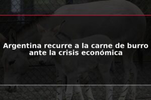 Argentina recurre a la carne de burro ante la crisis económica