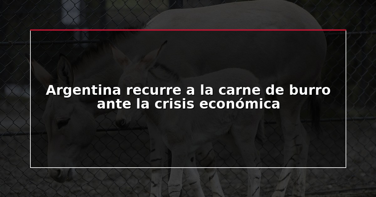 Argentina recurre a la carne de burro ante la crisis económica