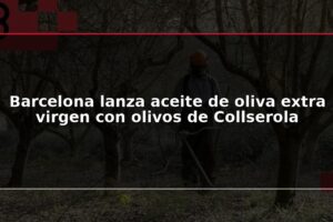 Barcelona lanza aceite de oliva extra virgen con olivos de Collserola