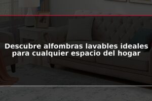 Descubre alfombras lavables ideales para cualquier espacio del hogar