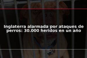 Inglaterra alarmada por ataques de perros: 30.000 heridos en un año
