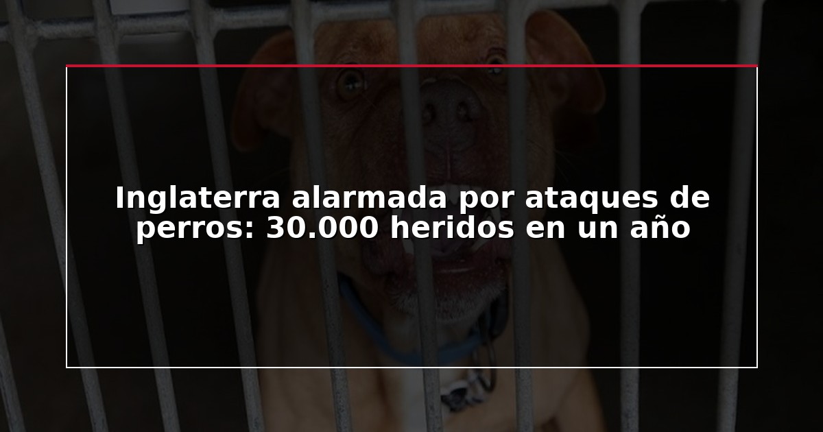 Inglaterra alarmada por ataques de perros: 30.000 heridos en un año