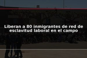 Liberan a 80 inmigrantes de red de esclavitud laboral en el campo