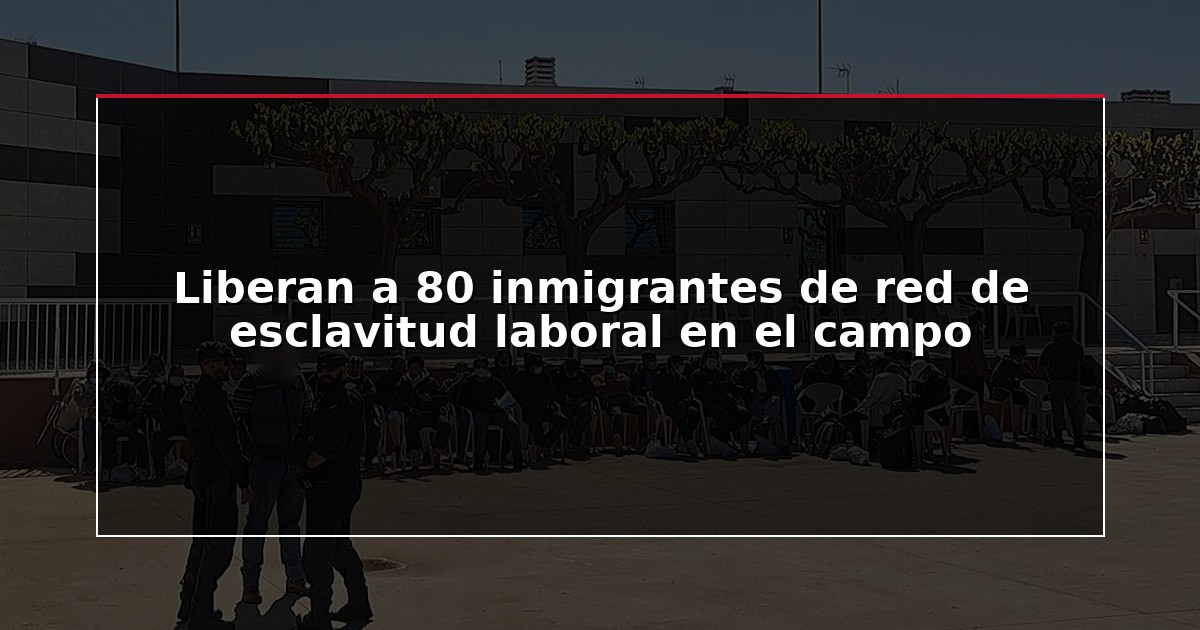 Liberan a 80 inmigrantes de red de esclavitud laboral en el campo