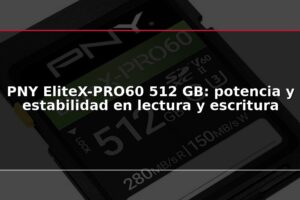 PNY EliteX-PRO60 512 GB: potencia y estabilidad en lectura y escritura