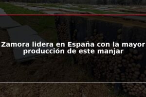Zamora lidera en España con la mayor producción de este manjar