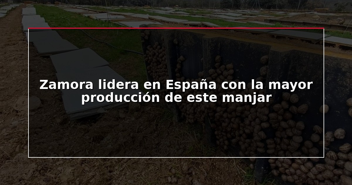 Zamora lidera en España con la mayor producción de este manjar