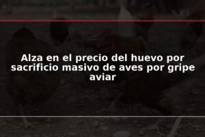 Alza en el precio del huevo por sacrificio masivo de aves por gripe aviar
