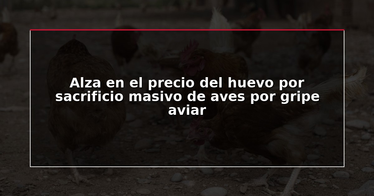 Alza en el precio del huevo por sacrificio masivo de aves por gripe aviar