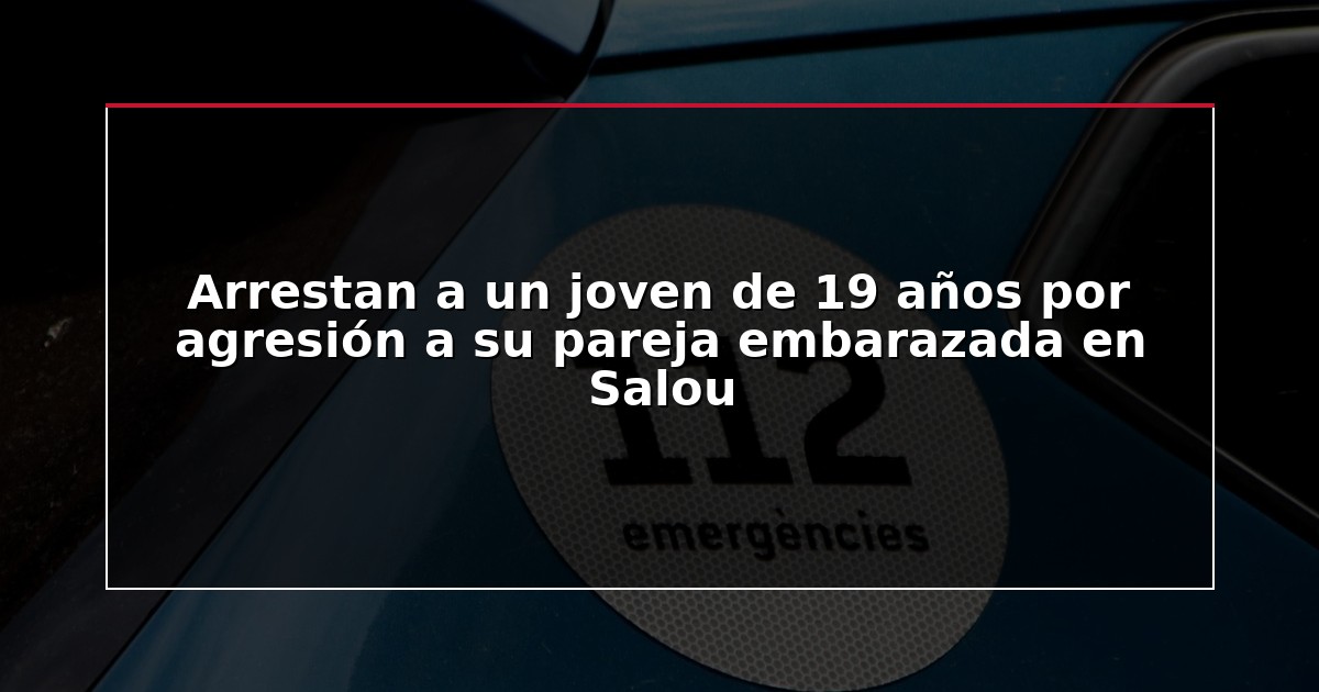 Arrestan a un joven de 19 años por agresión a su pareja embarazada en Salou