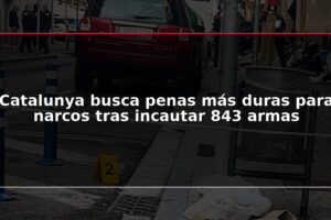 Catalunya busca penas más duras para narcos tras incautar 843 armas