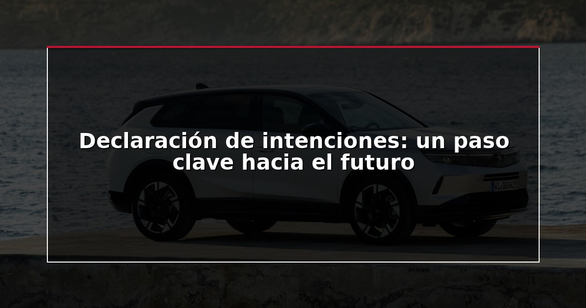 Declaración de intenciones: un paso clave hacia el futuro