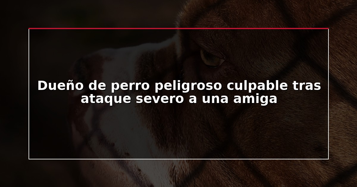 Dueño de perro peligroso culpable tras ataque severo a una amiga