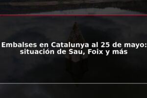 Embalses en Catalunya al 25 de mayo: situación de Sau, Foix y más