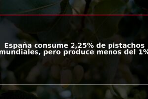 España consume 2,25% de pistachos mundiales, pero produce menos del 1%