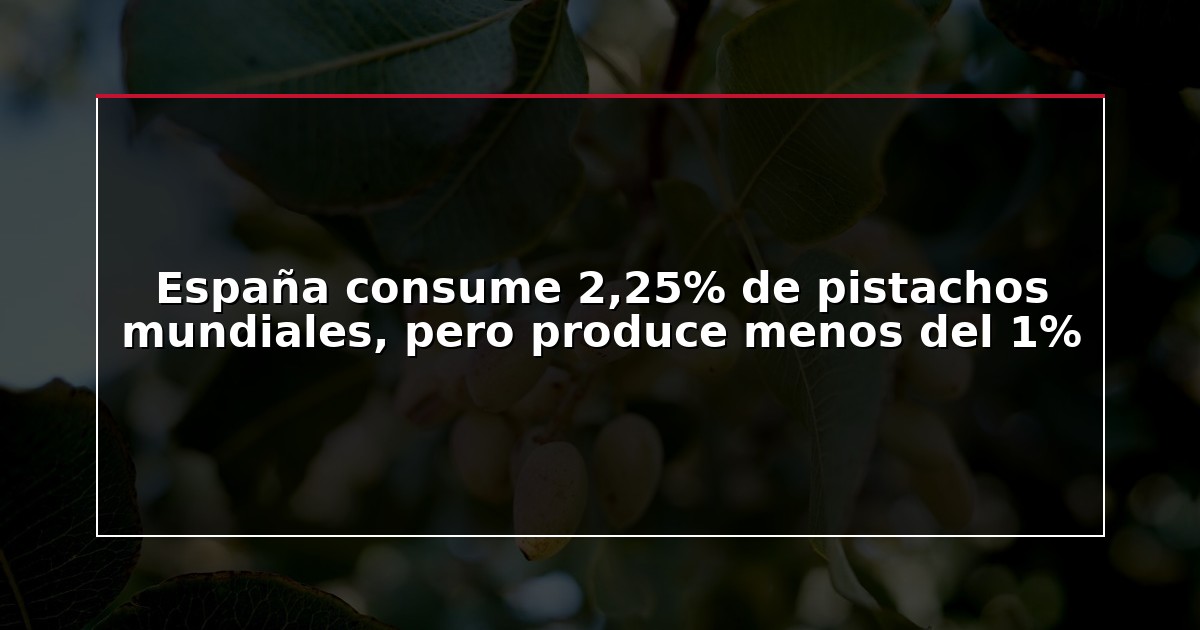 España consume 2,25% de pistachos mundiales, pero produce menos del 1%