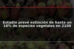 Estudio prevé extinción de hasta un 16% de especies vegetales en 2100