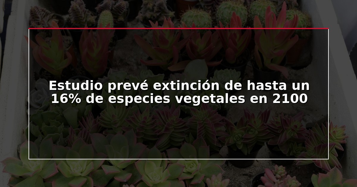 Estudio prevé extinción de hasta un 16% de especies vegetales en 2100
